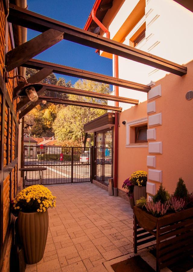 Villa Boutique Arnica Брашов Экстерьер фото